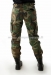US BDU ladies housu, Woodland 